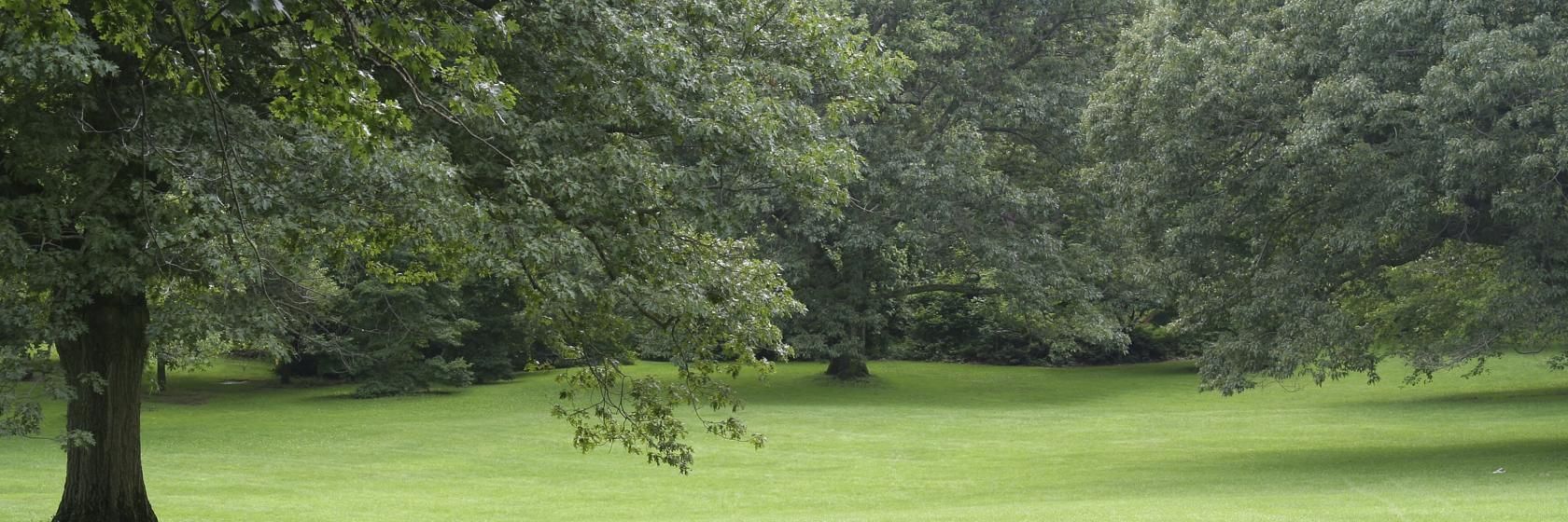 [Hotis e Pousadas em Castro PR]