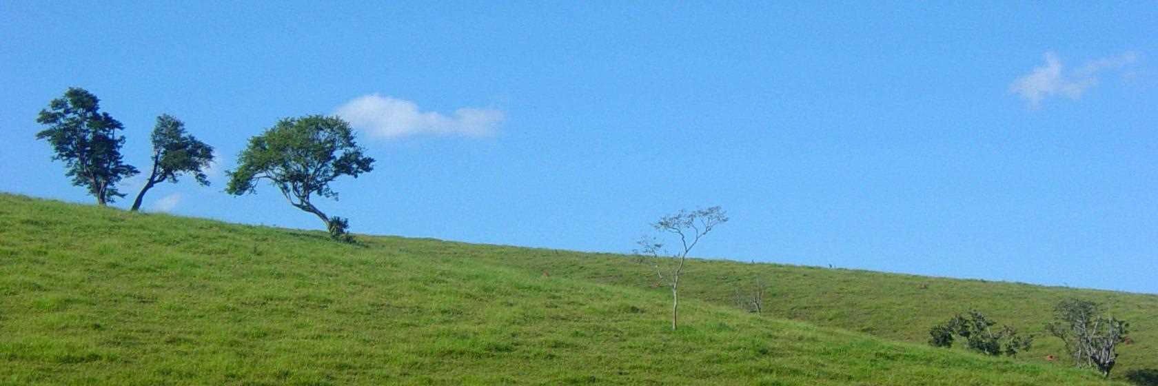 [Hotéis e Pousadas em Delfim Moreira MG]