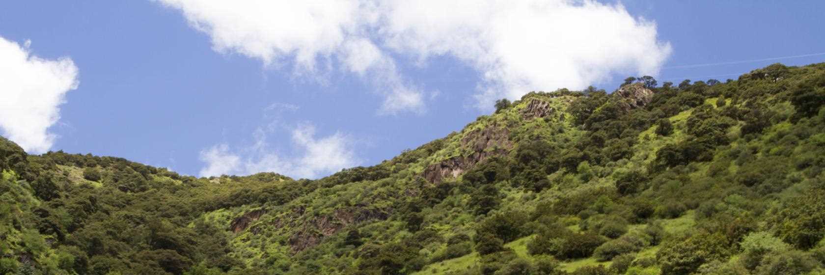 [Hotis e Pousadas em Gravatal SC]