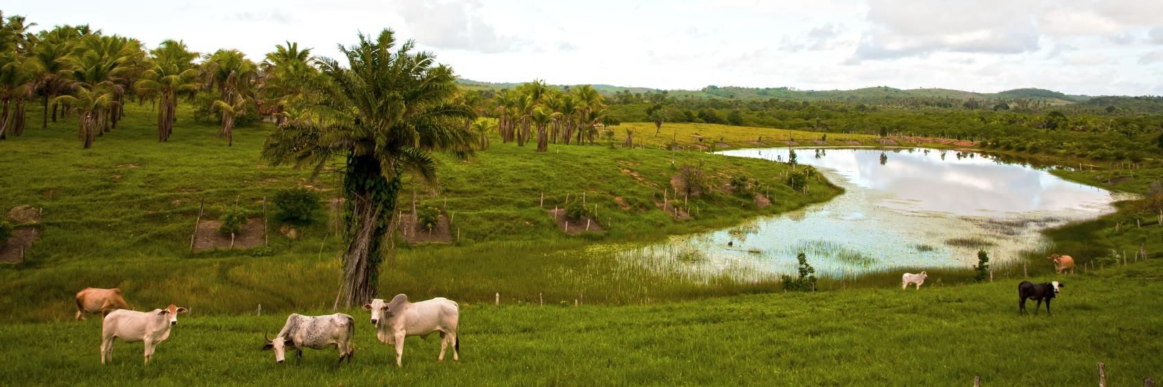 [Hotis e Pousadas em Lima Duarte MG]