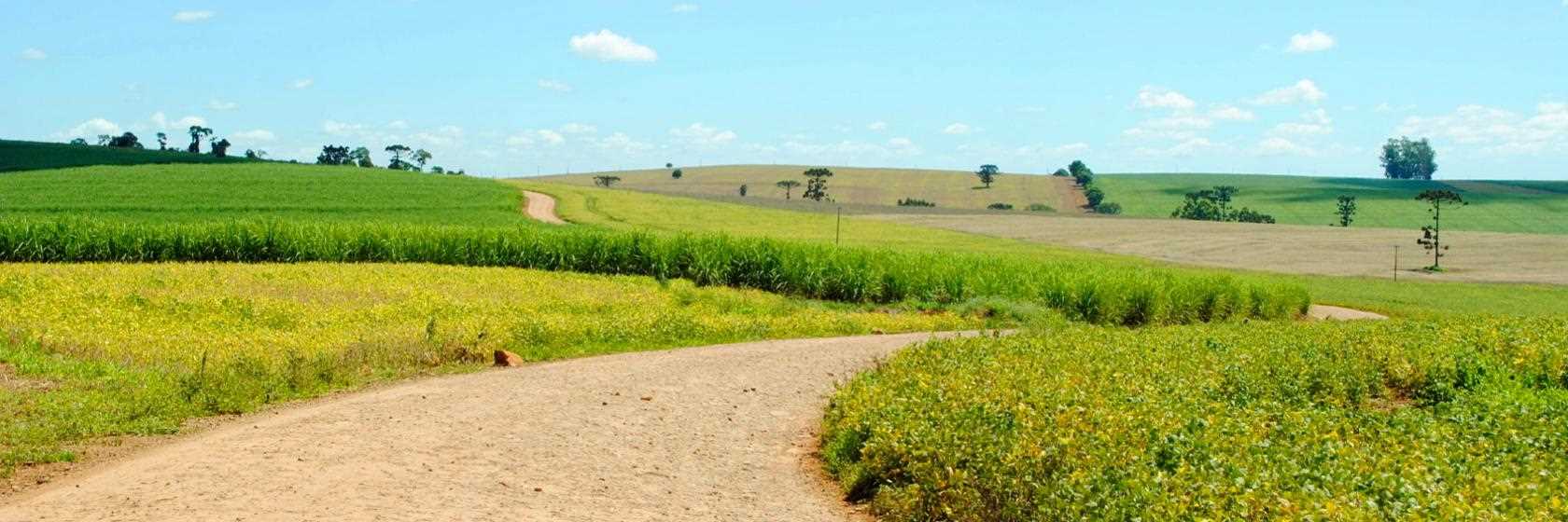 [Hotéis e Pousadas em Limeira SP]