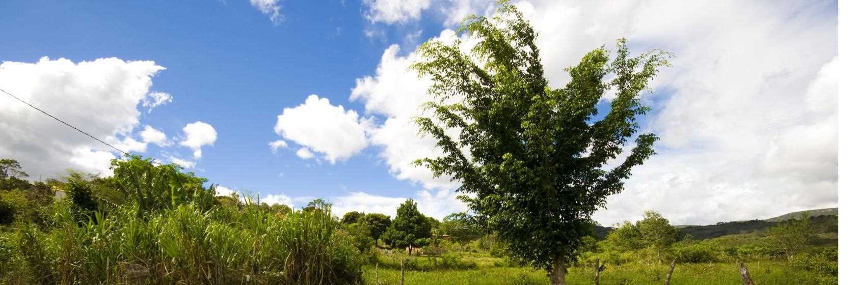 [Hot�is e Pousadas em Orl�ndia SP]