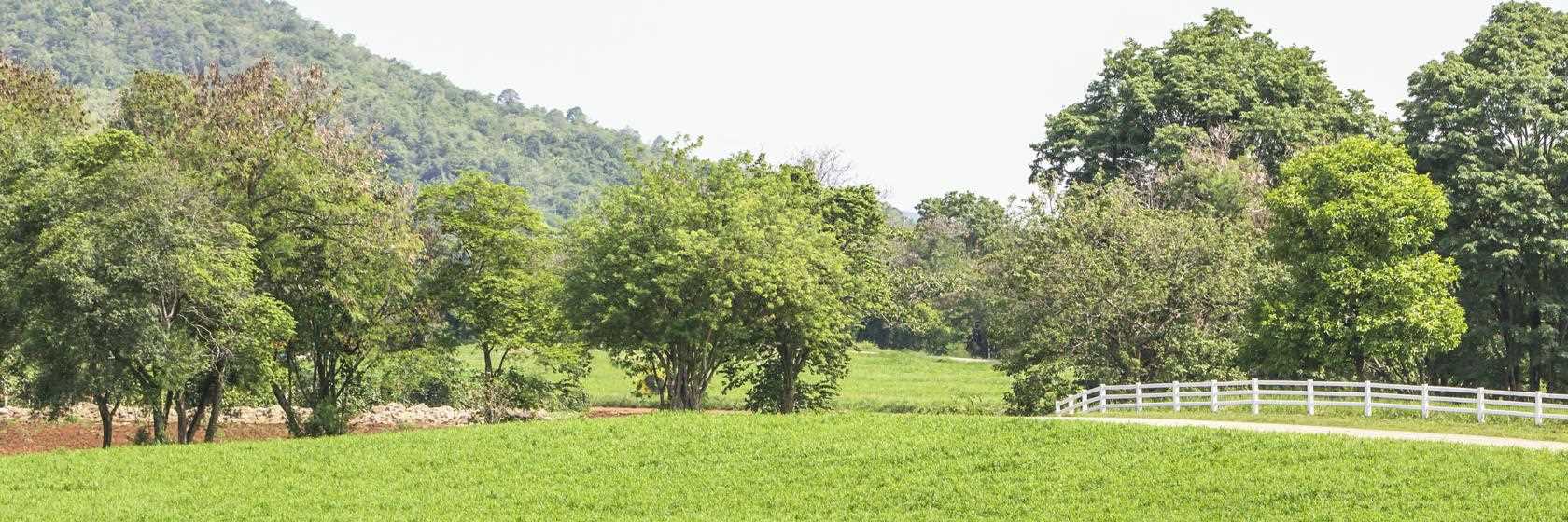 [Hotéis e Pousadas em Pindamonhangaba SP]