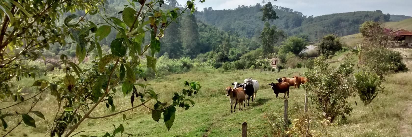 [Hotéis e Pousadas em Santa Branca SP]