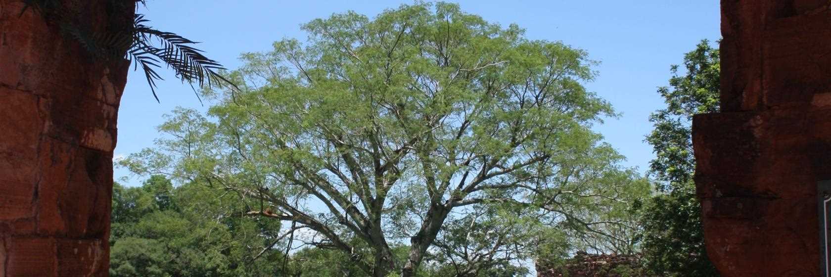 [Hotéis e Pousadas em São João da Boa Vista SP]