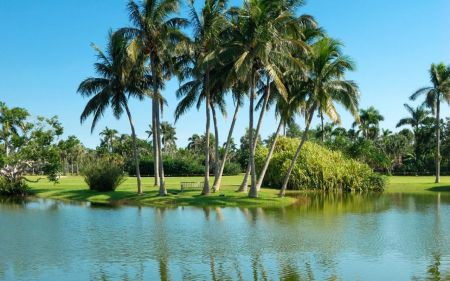 Goiânia