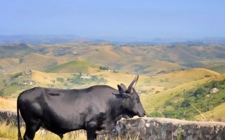 Juazeiro do Norte