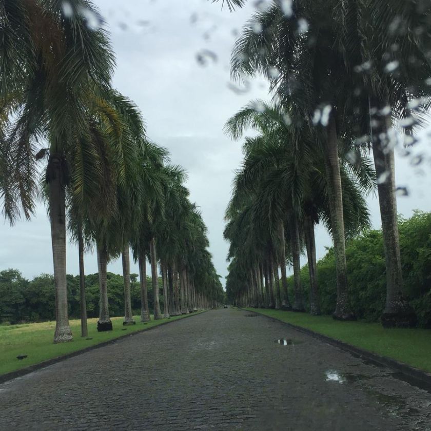 [Fotos de Recife]