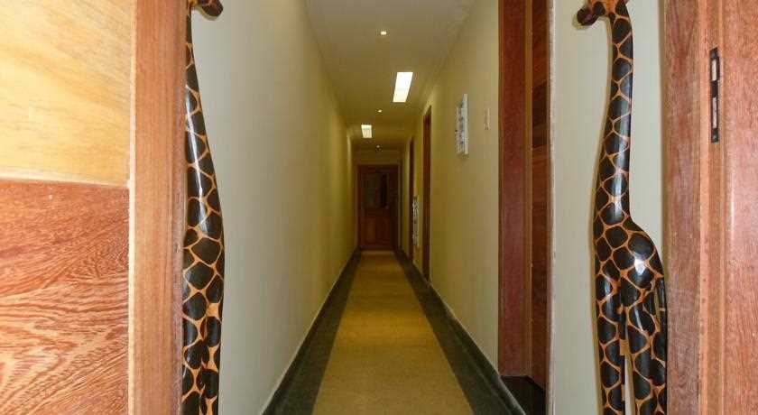 [Fotos Girafas Hostel]
