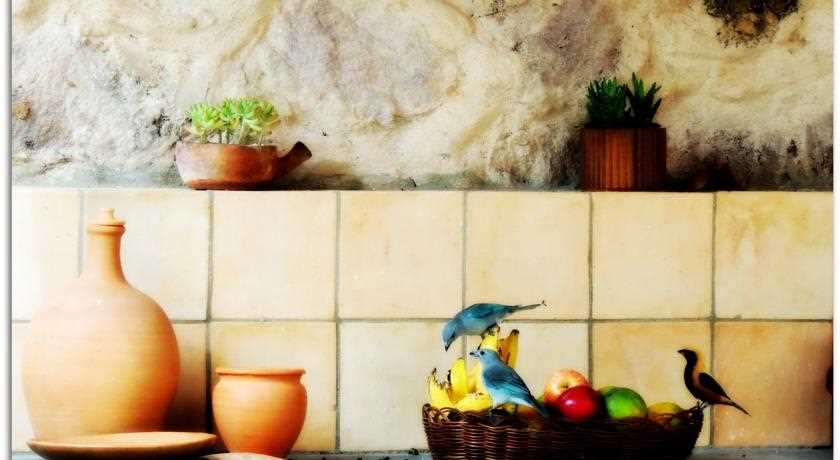 [Fotos Canto Verde]