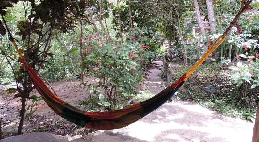 [Fotos Canto Verde]