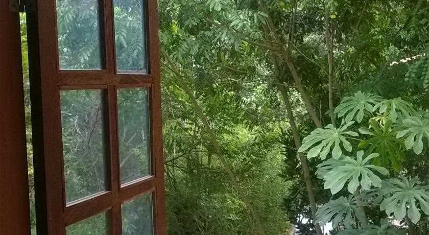 [Fotos Canto Verde]