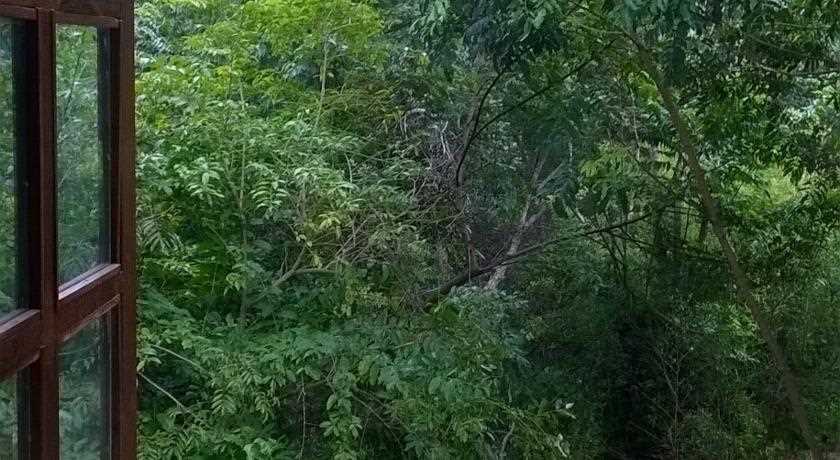 [Fotos Canto Verde]