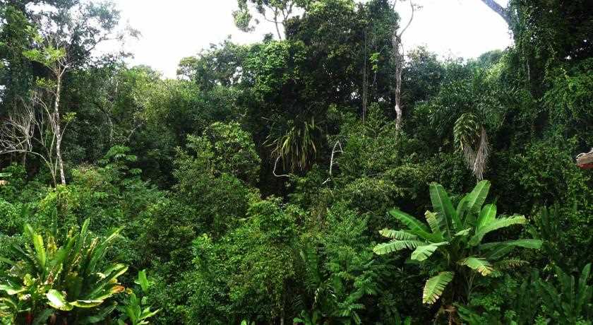 [Fotos Vila Engawa Flat]